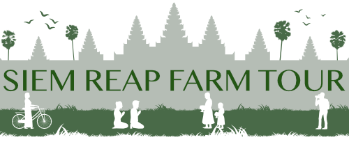 Siem Reap Farm Tour